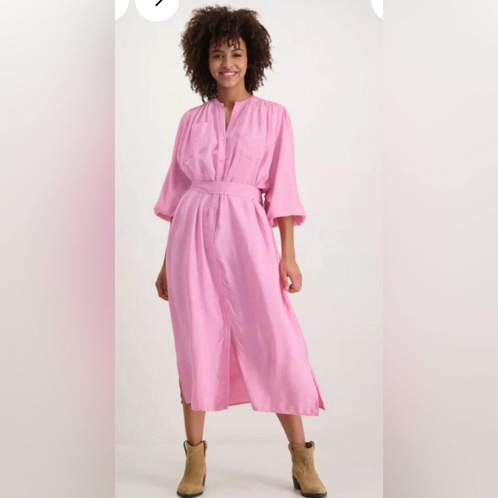 NWT $300 Nika Midi Dress in Lollipop